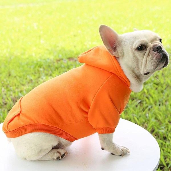 Vinterhoodie med ficka sweatshirt lämplig för valp varm Chihuahua kappa kläder valp kattkläder
