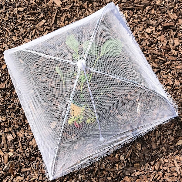 (6-pack) Stora och höga 17x17 Pop-Up Mesh Matöverdrag Tält Parasoll för Utomhus, Skärmtält, Fester Picknickar, Grillfester, Återanvändbara och Hopfällbara