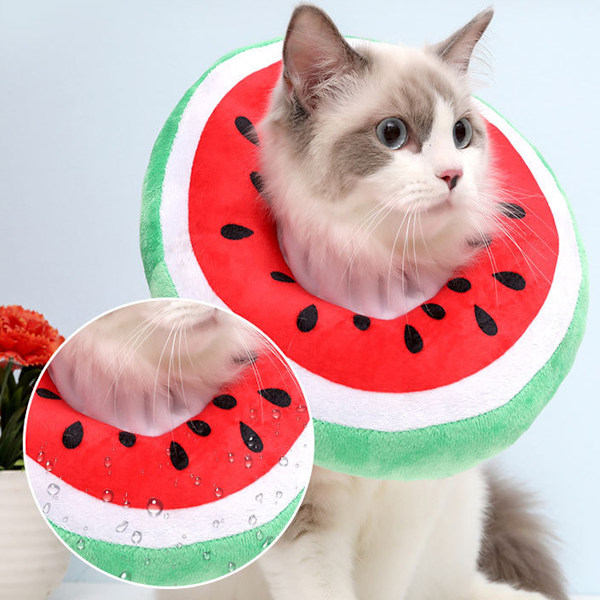 Justerbar kattkon krage mjuk, söt katt återhämtnings krage, katt kottar efter operation för kattungar (vattenmelon)