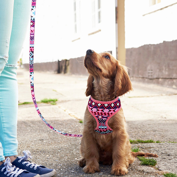 Pet Patterns Pehmeä ja Mukava Hyvin Tehty Syvä Kukallinen Ei Vedä Verkko Koiranpentu Koiran Valjaat Liivi, Säädettävät Valjaat Koirien ja Kissojen