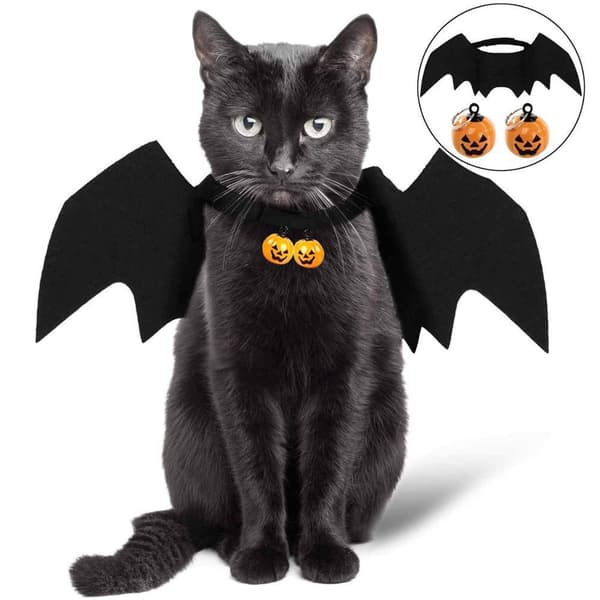 Flagermusdragt, Kattekostume, Flagermusevinger Kostume, Halloween Kattekostume