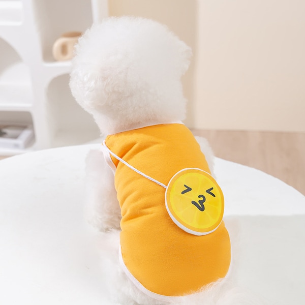 Kläder för husdjur, söt sommarfrukt hund T-shirt valp kläder hund kjol klänning katter kläder för små hundar katter valp (4 storlekar, portfölj kjol)