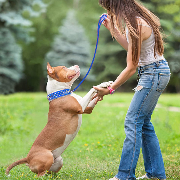 Musta keinonahkainen naulanauhakoiranpanta 2\" leveä, 37 naulaa 60 naulaa, bulldog, boxer