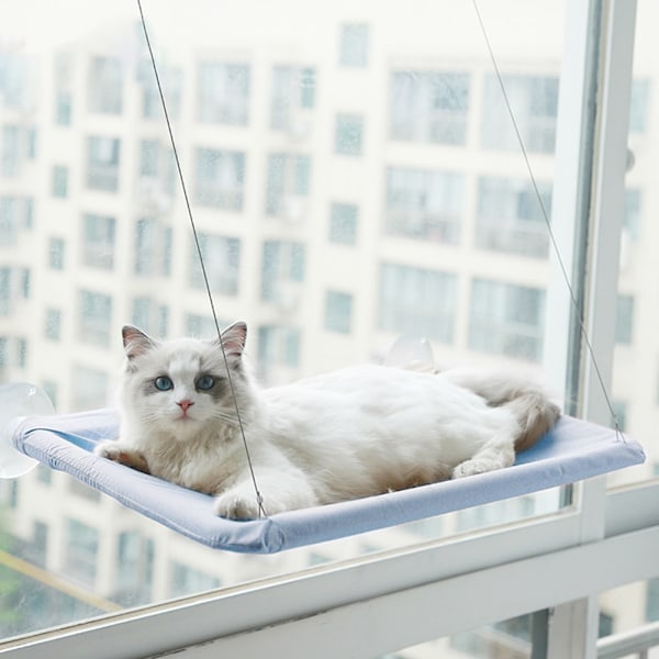 Katt seng vindu, sikker kattehyller plassbesparende vindu montert kattesete