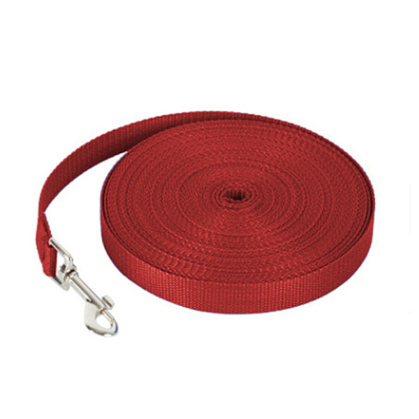 Hunde-/Valpe-Lydighet Tilbakekalling Trening Agility Leie Trening Leash - Perfekt for Trening, Lek, Camping