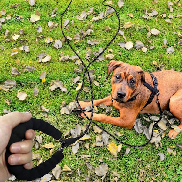 Lang line for hundetrening - Refleksjonsbånd i nylon, sjekktau for hunder på tur, camping
