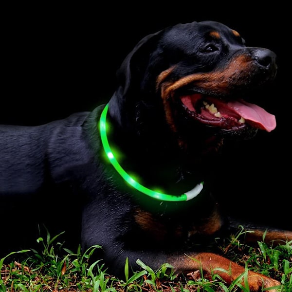 LED-halsband för hund, USB-uppladdningsbart lysande husdjurshalsband för nattsäkerhet, modernt upplyst halsband för små, medelstora och stora hundar