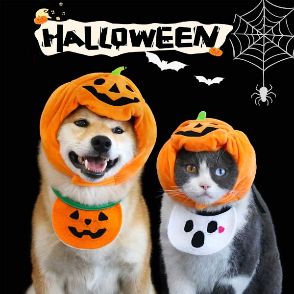 Halloween-hat til katte og hunde - Græskarhat til kæledyr - Rolleleg-kostume til fest - Sød hovedbeklædning
