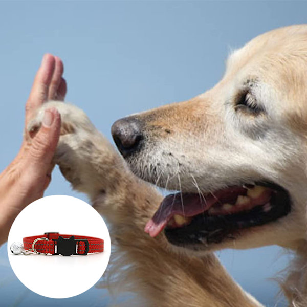 Halsband i hampa för hund - Supermjukt antiallergiskt foder. Perfekt för små