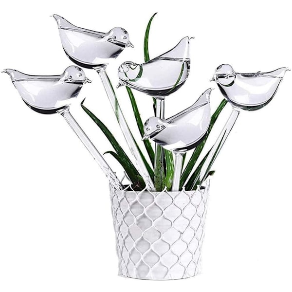 10 stk. Glas Selvvandede, Transparente Fugleformede Kugler Plante