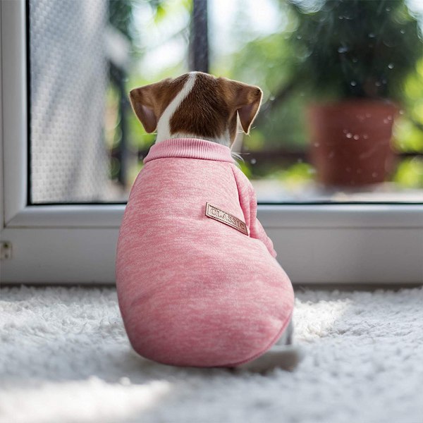 Klassisk strikket genser for hund, myk og tykk, varm for valper