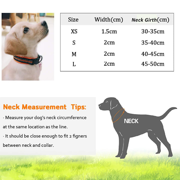 Mellanstort och stort hundhalsband 3M reflekterande mesh vadderat hundhalsband justerbart nylon utomhus äventyr husdjurshalsband