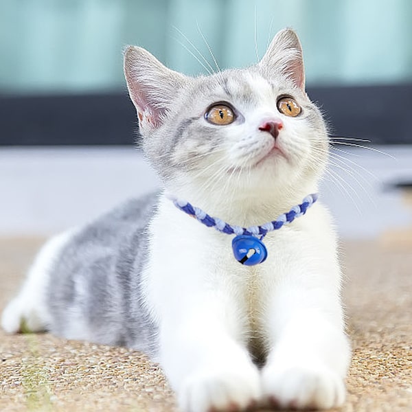 2 stk. Katte Halsbånd Søde Kitty Justerbare Killinge Halsbånd, Bomuld Polyester Kæledyr Vævet Halsbånd, S, M