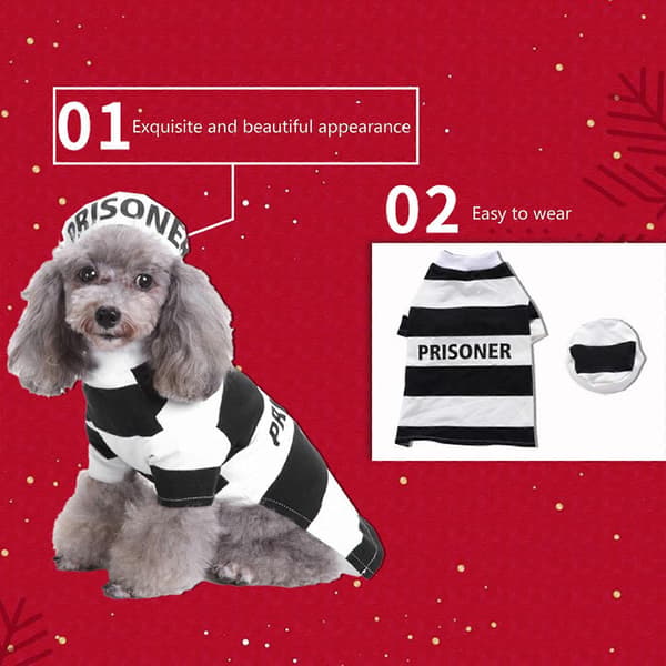 Transfiguration Hunde Jumpsuit med Hat Sæt Jul Halloween Hunde Pullover Vinter Cosplay Fest Små Hunde Pullover M SDZ07 Wizard Cloak S M