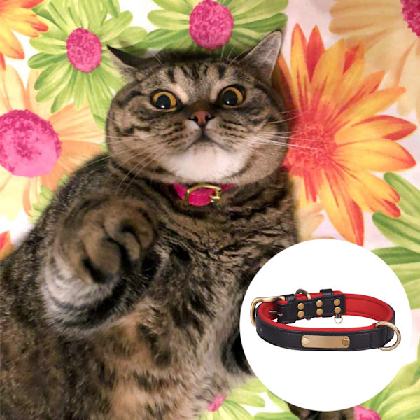 Läder katt halsband spänne justerbar liten husdjur krage för kattungar