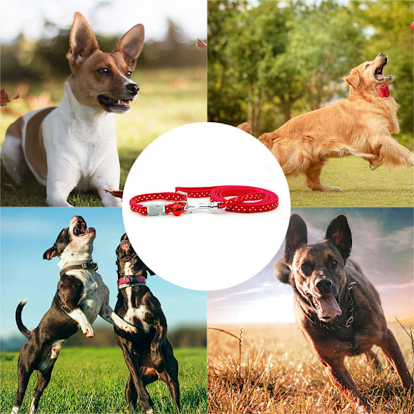 Rött Dingo designer hundhalsband, litet