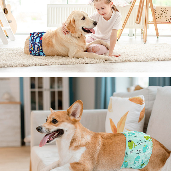 Vaskbare Hundefiler for Hannhunder (Pakke med 3), Gjenbrukbare Magebånd for Hannhunder, Mageinnpakning for Hannhunder