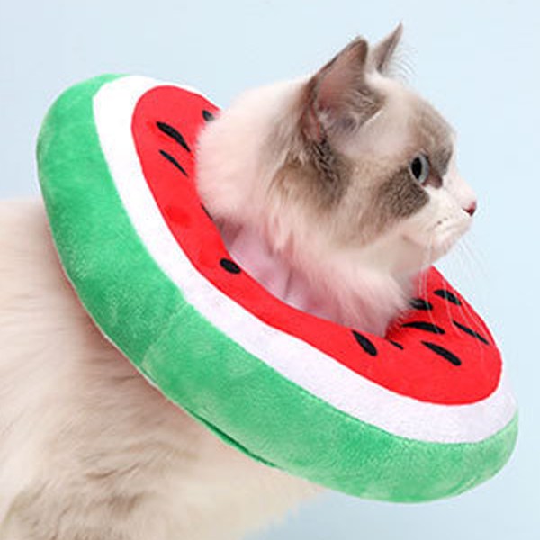 Justerbar kattkon krage mjuk, söt katt återhämtnings krage, katt kottar efter operation för kattungar (vattenmelon)