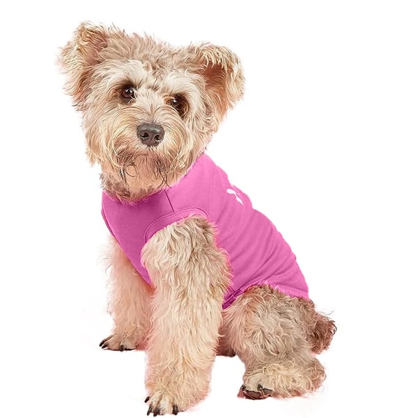 Sommarklänning för valpar, liten och medelstor hundflicka, flickhundskostym, tekopp Chihuahua-kostym, roligt husdjurshund T-shirt-set