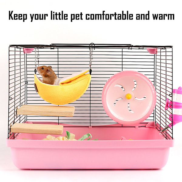 Søt Hamster Hengekøye Små Dyr Hengekøye