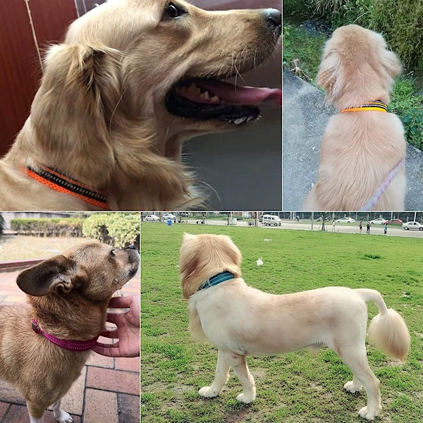 Mellanstort och stort hundhalsband 3M reflekterande mesh vadderat hundhalsband justerbart nylon utomhus äventyr husdjurshalsband
