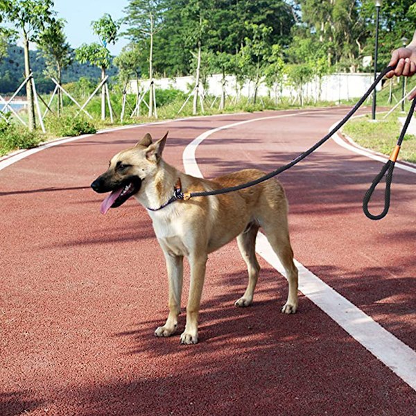 Hundeforing Tau Holdbar Kjæledyr Sterk Trening Trafikk Gå Leie for Valp