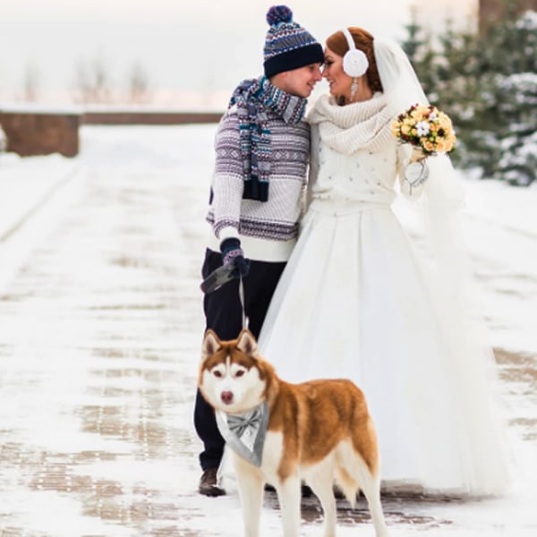 Hunde Bryllupsbandana Hundekrage med Sløyfe Bursdagskostyme