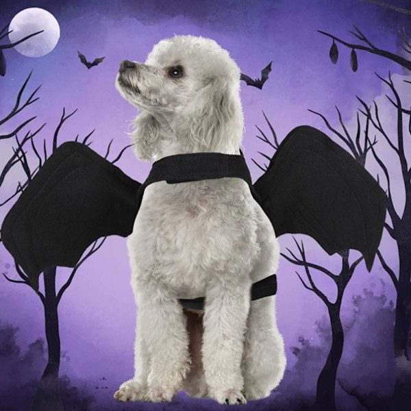 Fladdermusvingar för husdjur Halloween svart cool hund katt svart fladdermus bytande dräkt