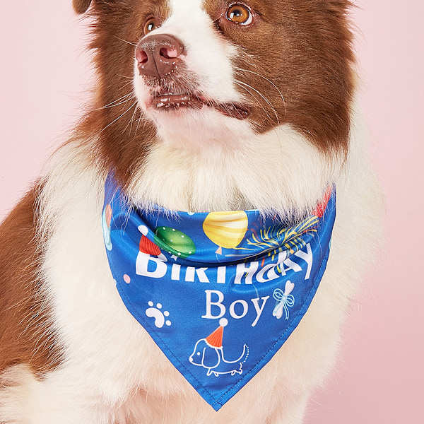 Hunde Fødselsdag Bandana Hat Sæt Hund Hvalp Fødselsdagsfest Tilbehør Hund Fødselsdag Hat Halstørklæde til Lille Mellem Hund Kæledyr
