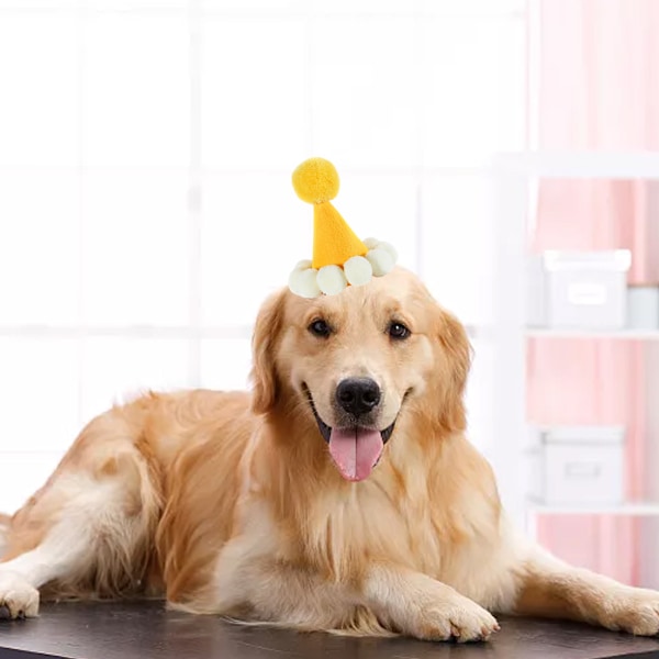 Husdjursfödelsedagsmössa Katt Hund Semesterfest Hatt Huvudbonad set Macaron färgad husdjursfödelsedagsmössa med pompom och justerbart pannband