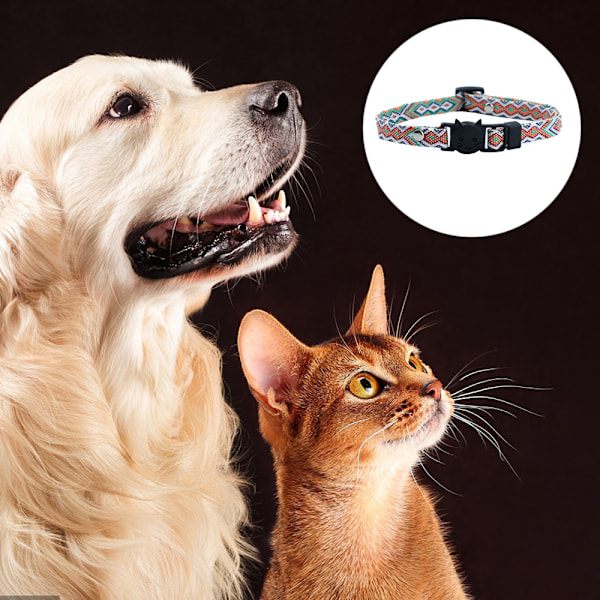 Blåbär husdjursdesign geometrisk designer hundhalsband