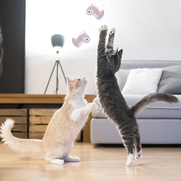 6 st kattmyntaleksaker inomhus katt interaktiv söt formdesign rolig leksak kattungetillbehör