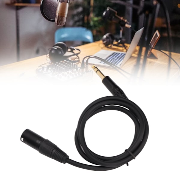 6,35 mm till XLR-kabel Han till Han 3-polig Stereo 1/4 tum till XLR Balanserad Sladd för Högtalare Mikrofon Scen 1m/3,3ft