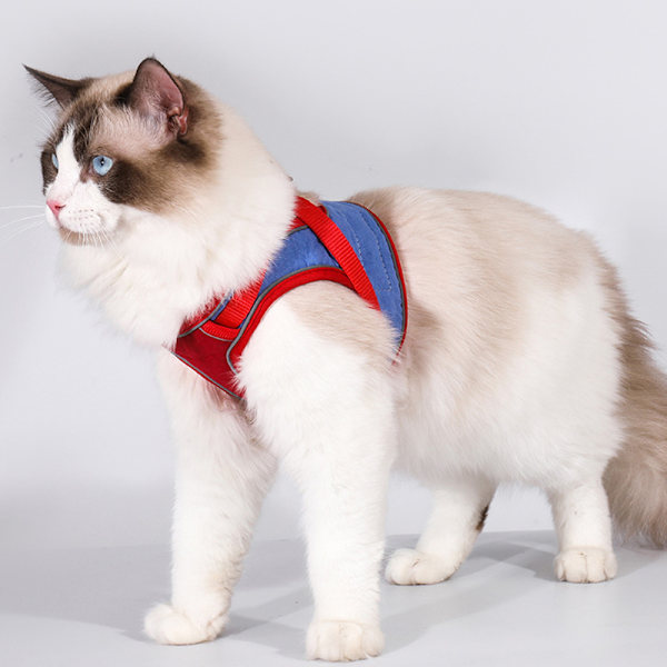 Ryggliggande kattsele kan användas för katter och hundar som går på natten med reflextejp