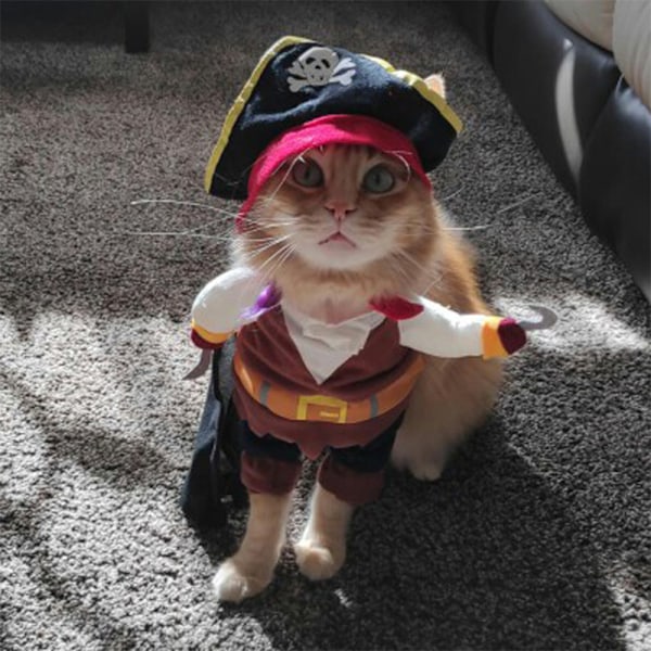 Hunden bliver til en pirat kostume Nye Halloween kæledyrs kostumer