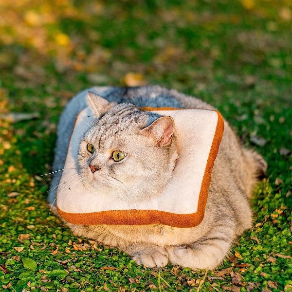 Justerbar kattkon krage mjuk, katt återställnings krage, kon för katt efter operation, katt hals krage