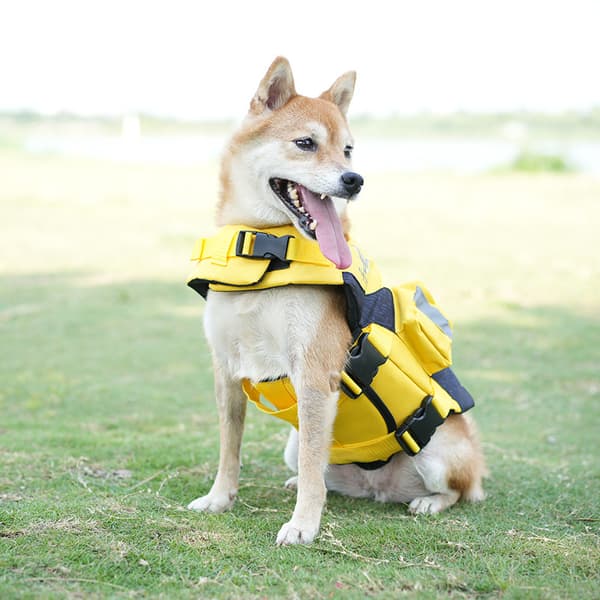 Hundeflytevest - Blå 1 stk Størrelse M - Ideell for svømming og å holde