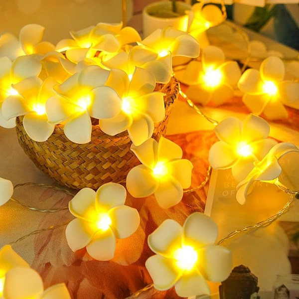 LED konstgjorda Plumeria Flower String Lights- Hawaiian Foam Frangipani Flower Light, USB -driven, Fairy String Light för sovrum, födelsedagsbröllop