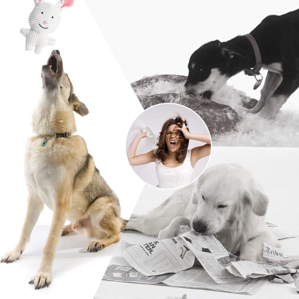 4 stk. plystofte legetøj til hunde, sæt med lyd, små og mellemstore hunde, parti