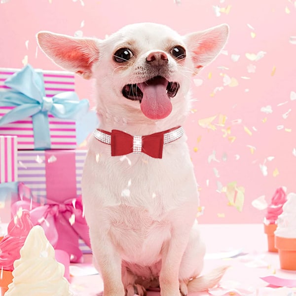 Halsband för hund, halsband för katt, glittrande kristalldiamantbåge halsband guldspänne hög sammet läder