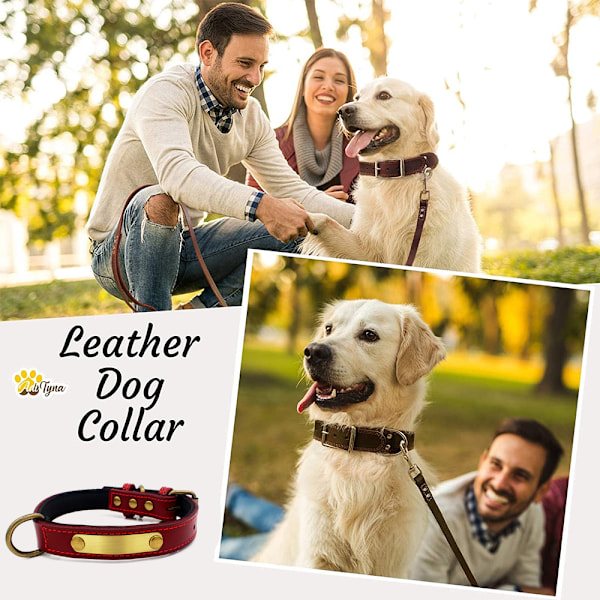 Robust Læder Hundekrave - Hundekrave til Små, Mellemstore, Store og Ekstra Store Hunde