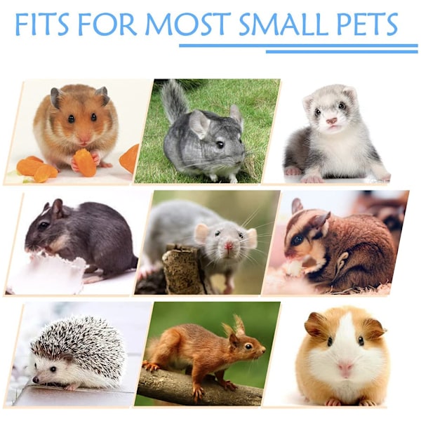 Våningssäng Hängmatta Bur Leksak för Hamster Råtta Socker Glidare Papegoja Marsvin Gömställe Lek Sömn