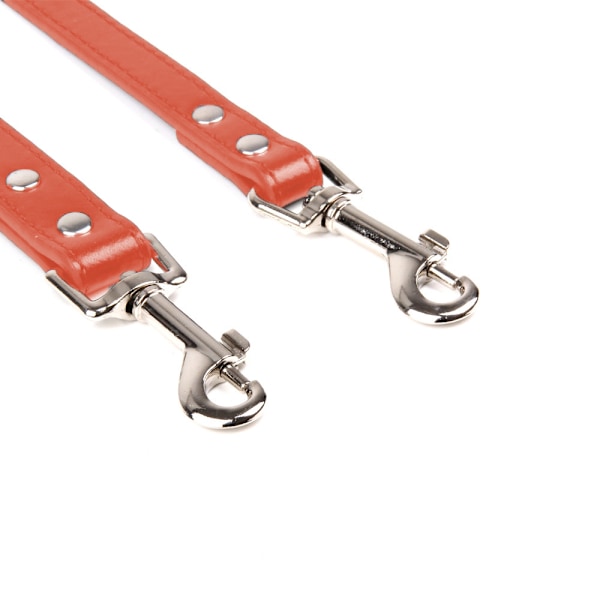 Hundeleie - Hundeleie for mellomstore og små hunder/katter, trening, gåing og løping