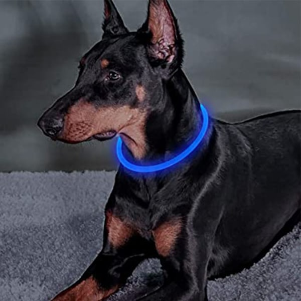 LED-koiranpanta, Valoisa koiranpanta, Ladattavat koiranvalot yökävelyille