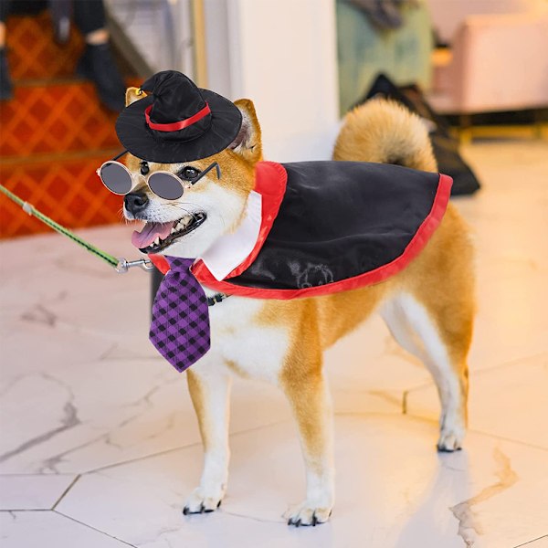Halloween Kostume til kæledyr - Kappe og Hat til Hunde