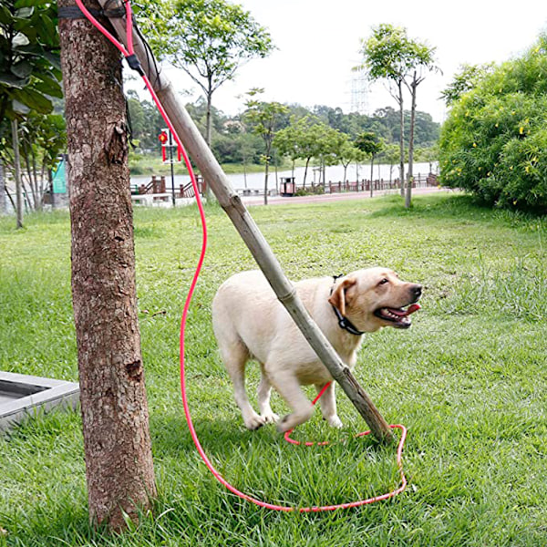 Hundeforing for trening - Langt bånd for utendørs