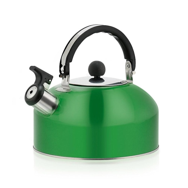 Visslande vattenkokare i rostfritt stål, campingvattenkokare för gasspis och induktionshäll UKS green 1PCS