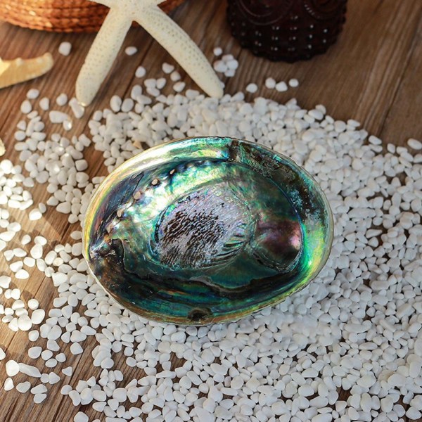 Stort naturligt Abalone Shell Smudging Lugnande energidekor Hem Black-brownD 9-10cm