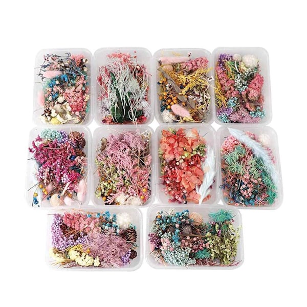 Blandade Torkade Blommor För Resin Smycken Torkade Växter Pressade Blommor Tillverkning D5E6