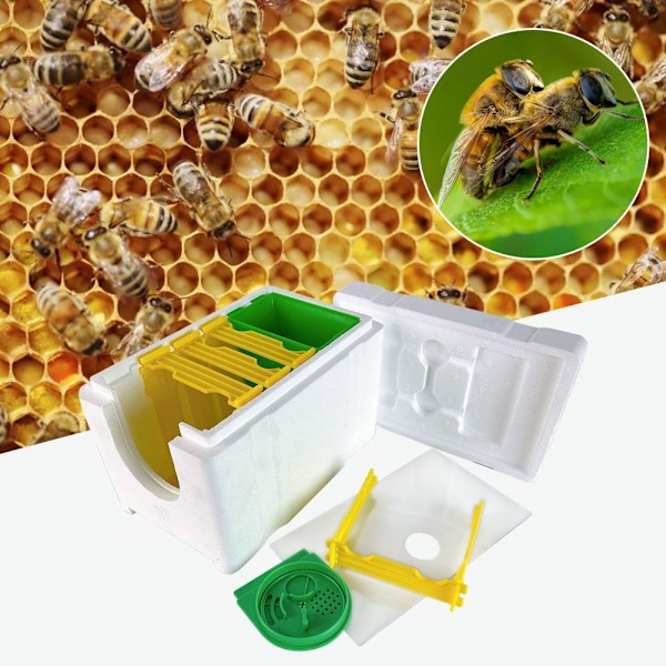 Enkel Biodling Drottningodling Parning Nuc Skörd Pollinera A One size
